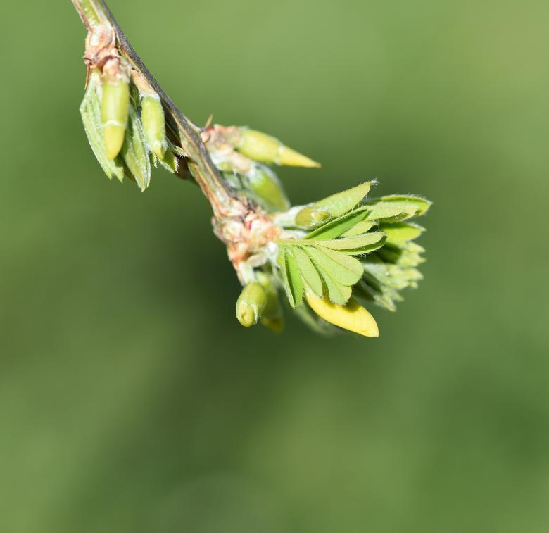 Free stock image of Nature created by Pixabay