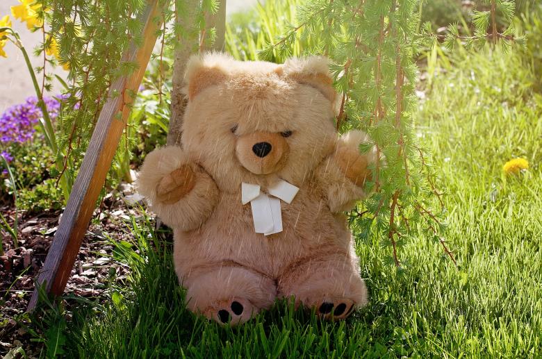 Free stock image of Stuffed Bear created by Pixabay