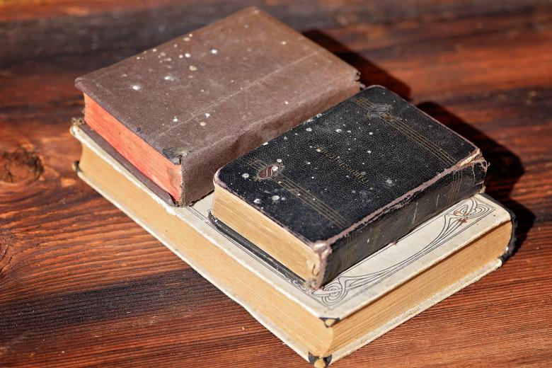 Free stock image of Vintage Books created by Pixabay