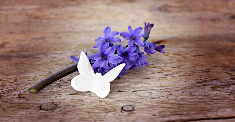 Free stock image of Nature created by Pixabay