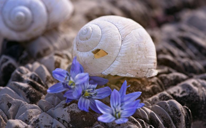 Free stock image of Beauty created by Pixabay