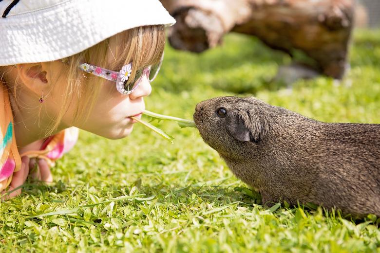 Free stock image of Friendship created by Pixabay
