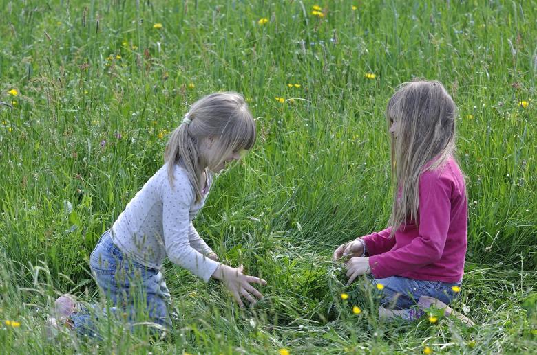 Free stock image of Sisters created by Pixabay