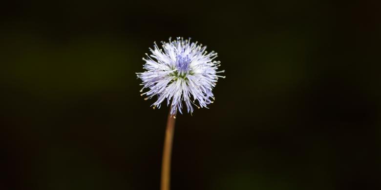 Free stock image of Nature created by Pixabay
