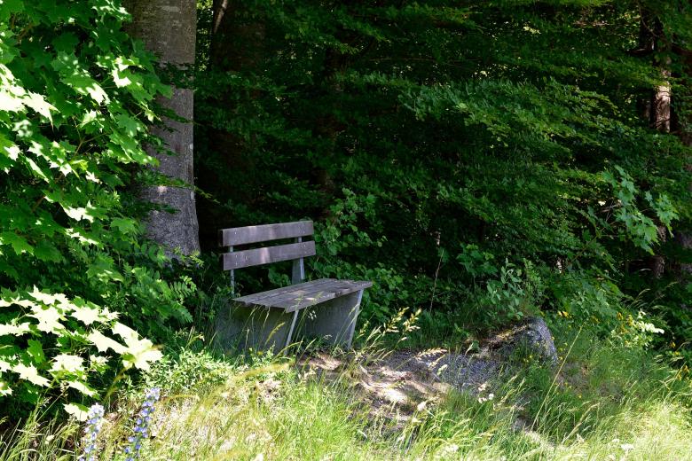 Free stock image of Bench created by Pixabay
