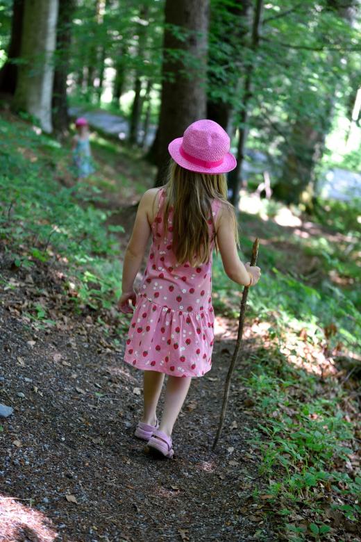Free stock image of Into the Wild created by Pixabay