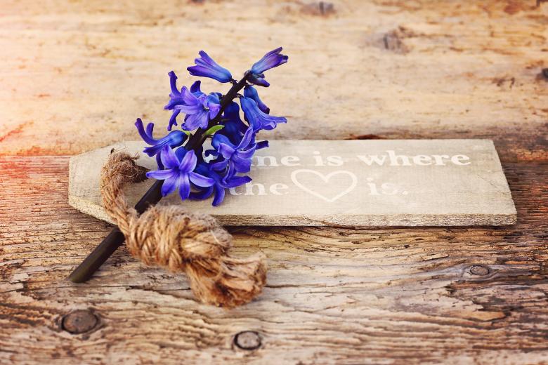 Free stock image of Flower created by Pixabay