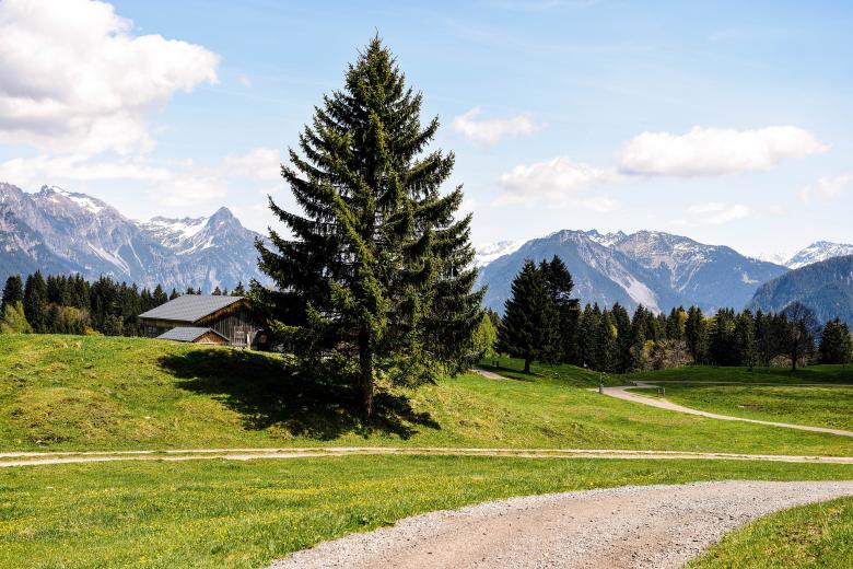 Free stock image of Landscape created by Pixabay