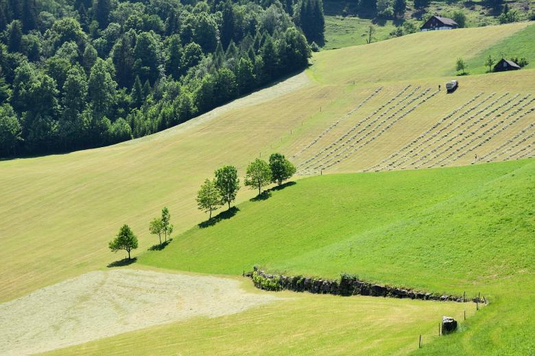 Free stock image of Landscape created by Pixabay