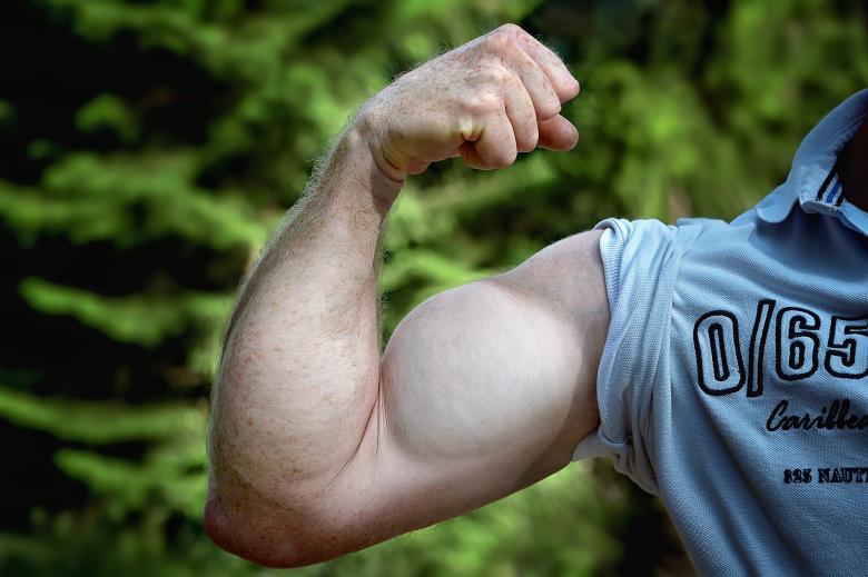 Free stock image of Muscles created by Pixabay