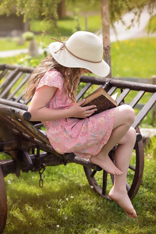Free stock image of Reader created by Pixabay