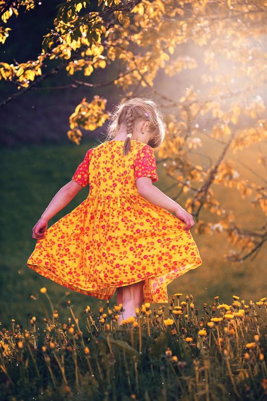 Free stock image of Bright created by Pixabay