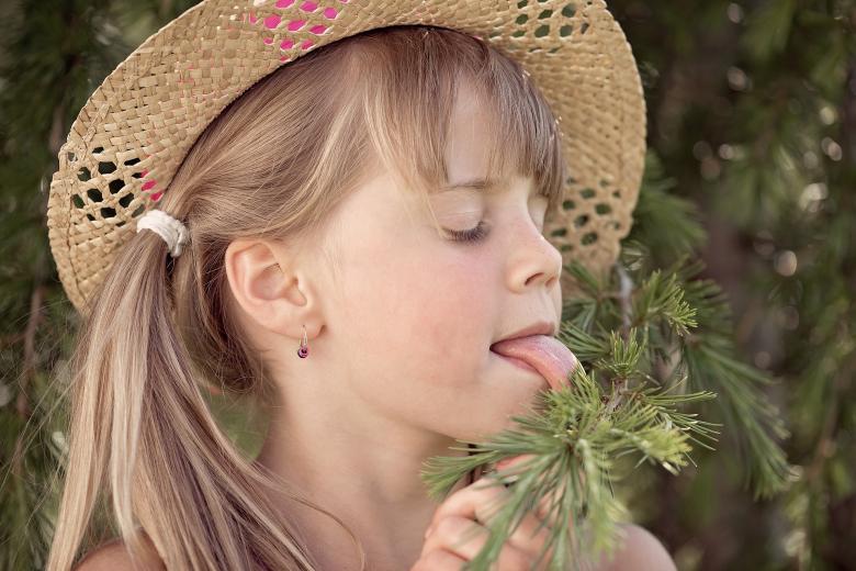 Free stock image of  Little Princess created by Pixabay