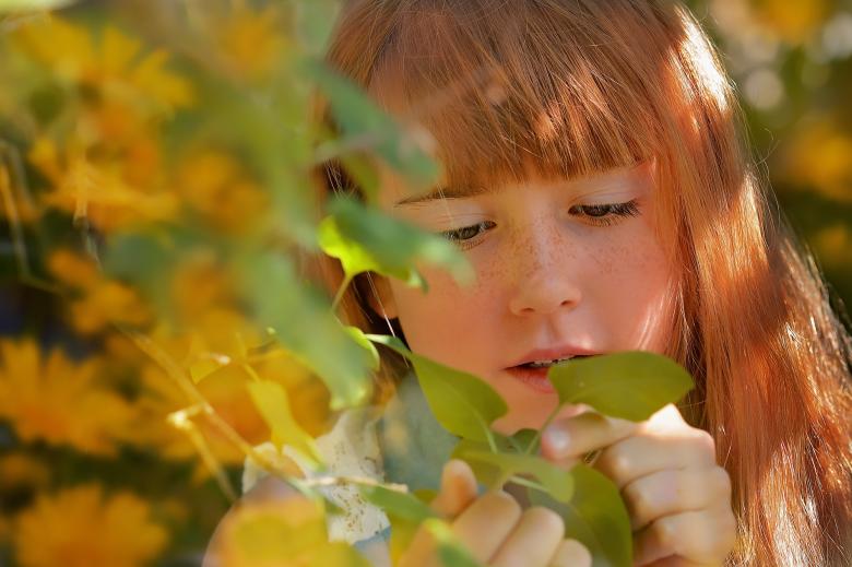 Free stock image of Blonde created by Pixabay