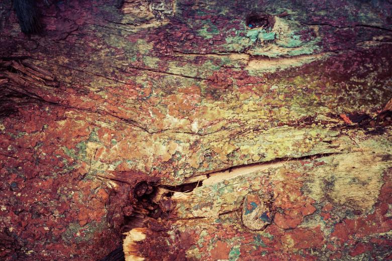 Free stock image of Colorful Grunge Wood Texture created by Free Texture Friday