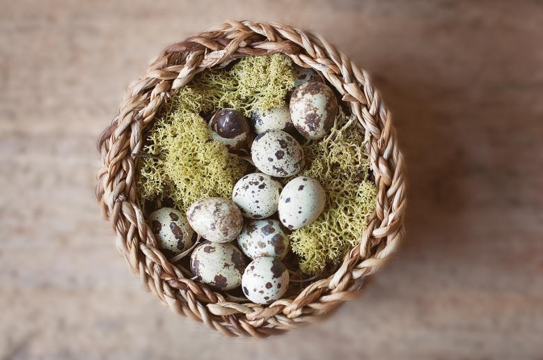 Free stock image of Eggs created by Pixabay
