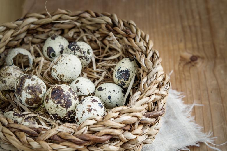 Free stock image of Basket of Eggs created by Pixabay
