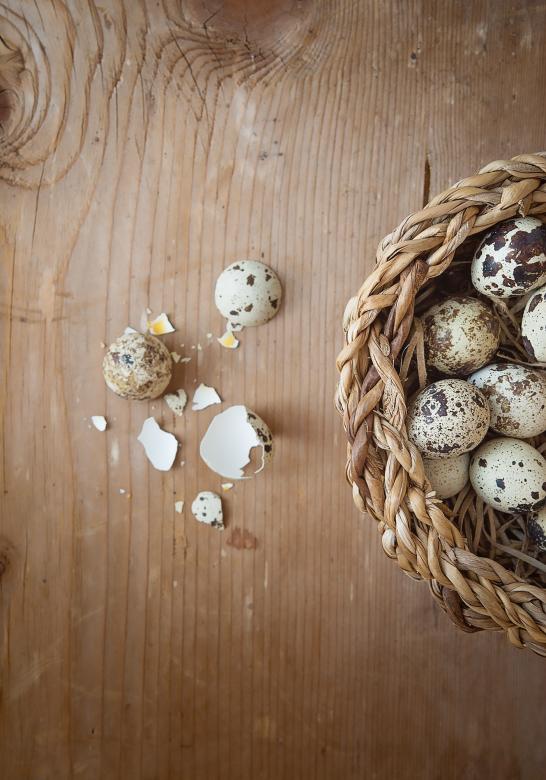 Free stock image of Broken Egg created by Pixabay