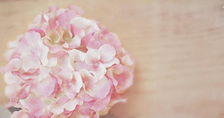 Free stock image of Flowers created by Pixabay