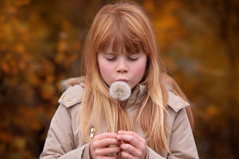 Free stock image of Girl with a Dandelion created by Pixabay