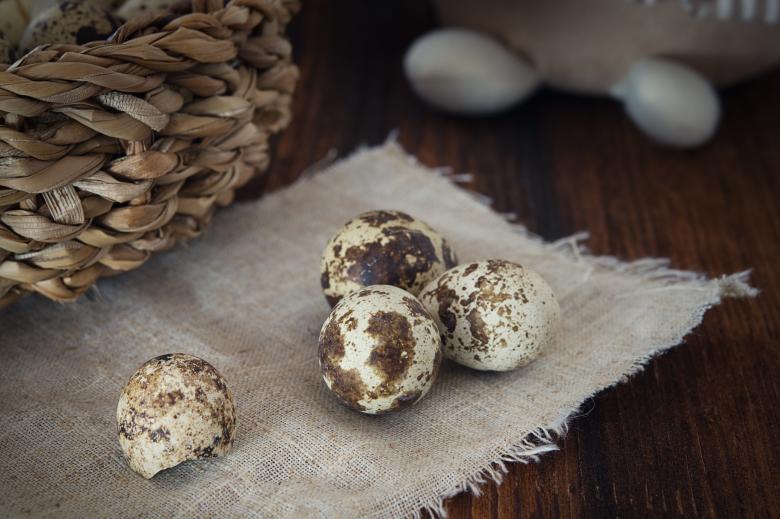 Free stock image of Eggs created by Pixabay