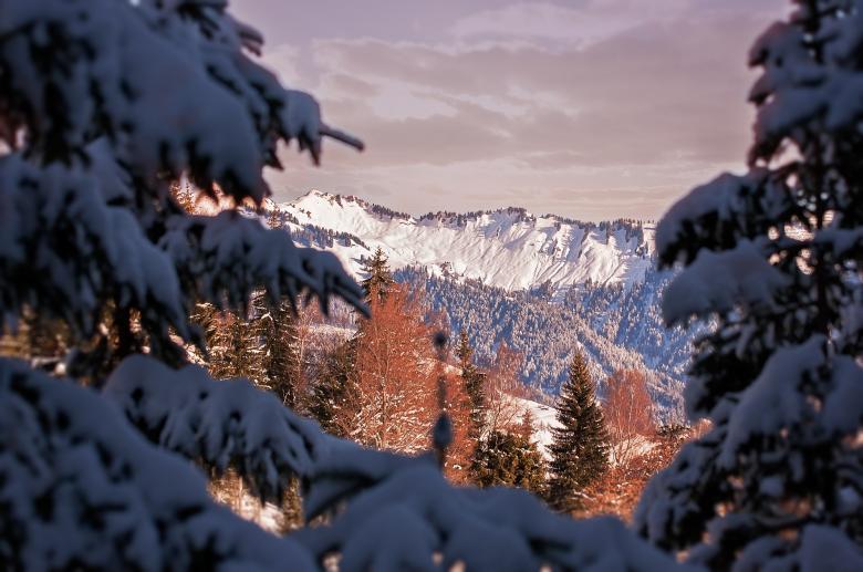 Free stock image of Winter created by Pixabay