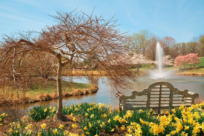 Free stock image of Meadowlark Spring Gardens created by Nicolas Raymond