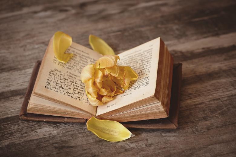 Free stock image of Yellow Flower created by Pixabay