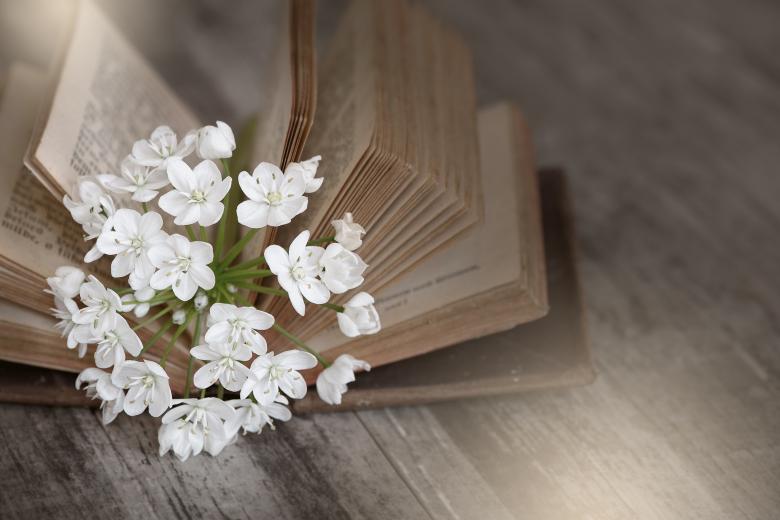 Free stock image of Flowers n Book created by Pixabay