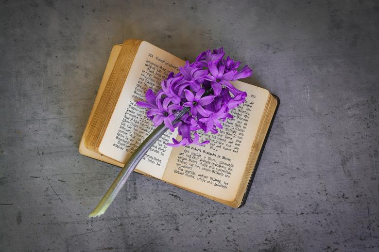 Free stock image of Flowers n Book created by Pixabay