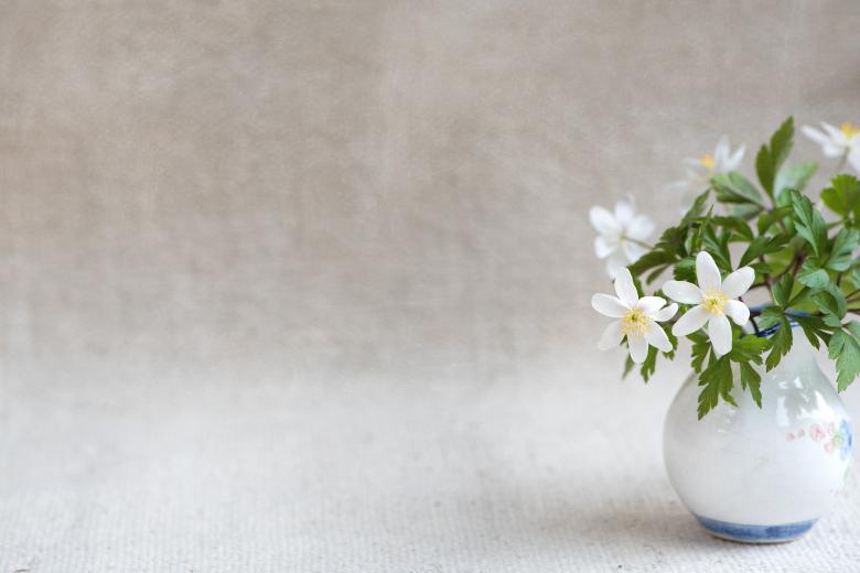 Free stock image of Pot created by Pixabay