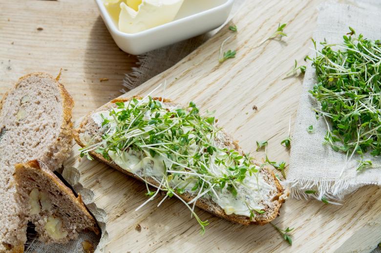 Free stock image of Food created by Pixabay