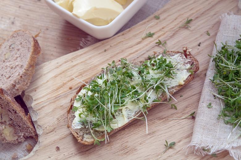 Free stock image of Dish created by Pixabay