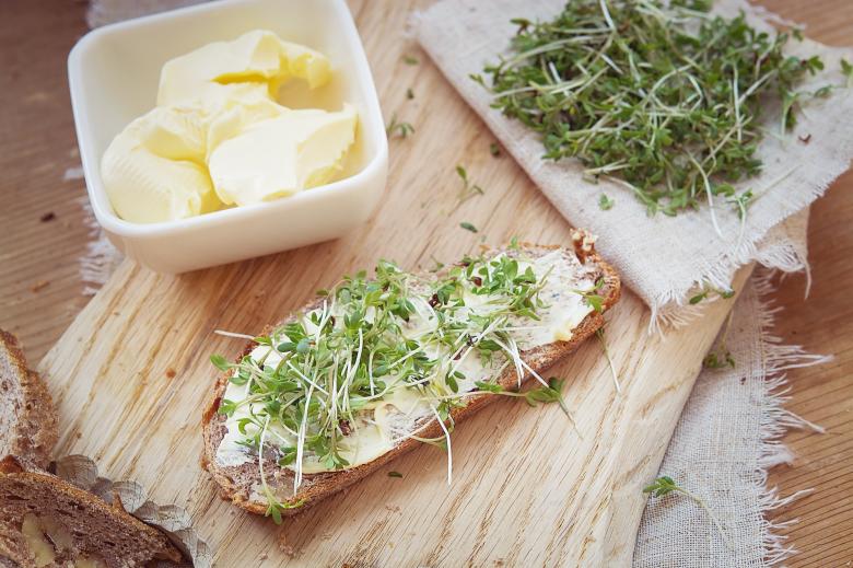 Free stock image of Cress created by Pixabay
