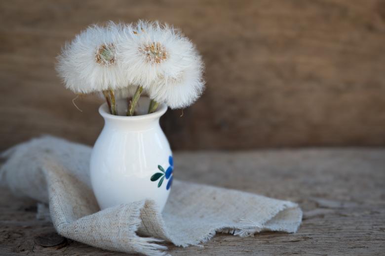 Free stock image of Dandelion created by Pixabay