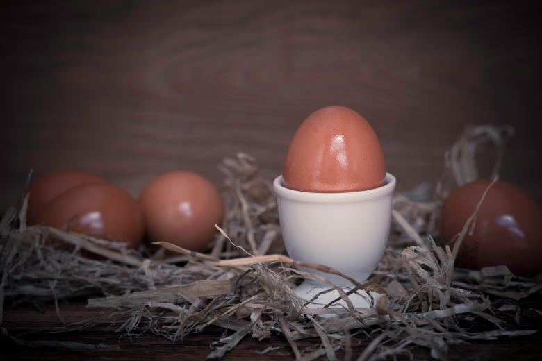 Free stock image of Egg created by Pixabay