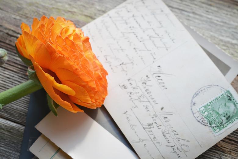 Free stock image of Flower created by Pixabay