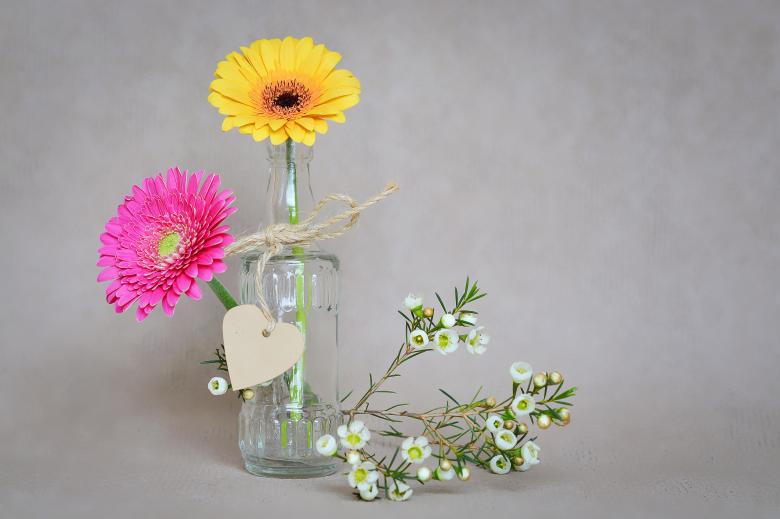 Free stock image of Gerbera created by Pixabay
