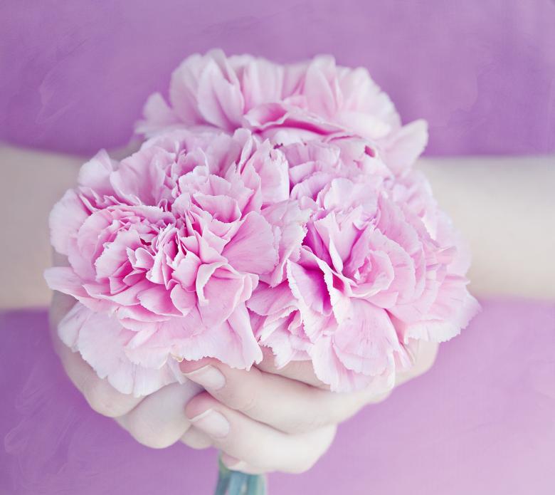 Free stock image of Pink Flowers created by Pixabay