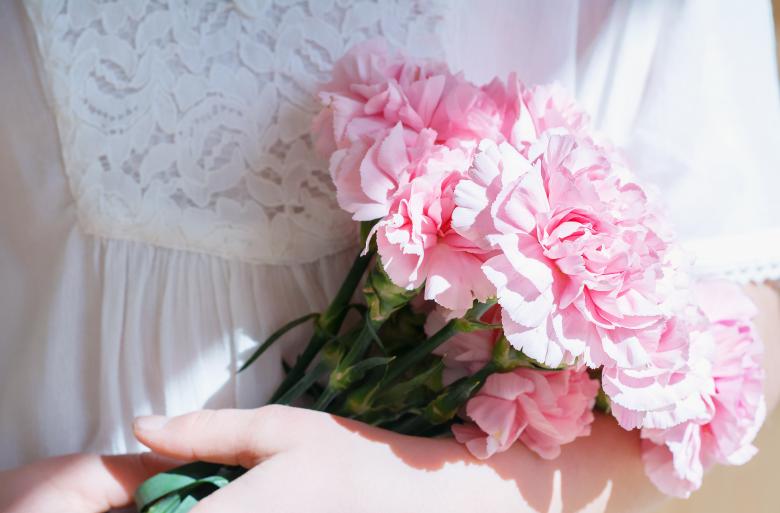 Free stock image of Beautiful Flowers created by Pixabay