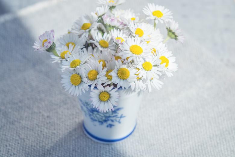 Free stock image of White Fresh Flowers created by Pixabay