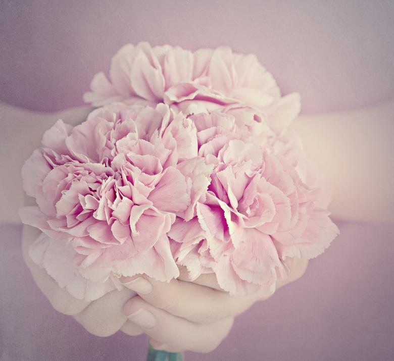 Free stock image of Fragrance created by Pixabay