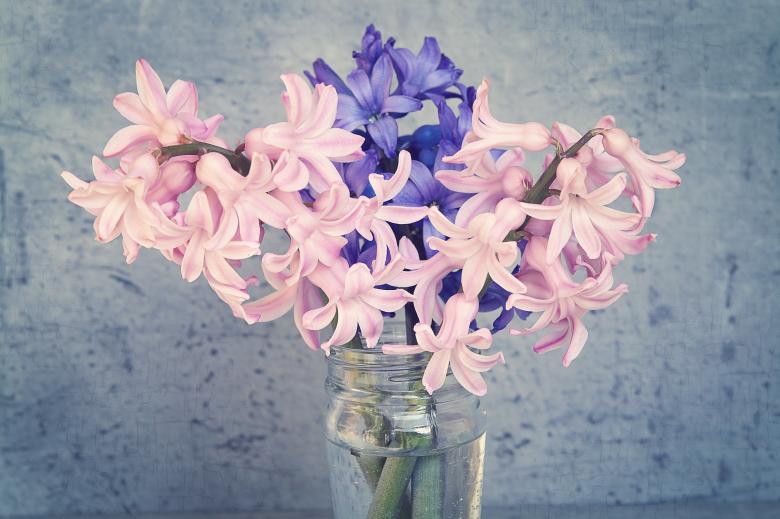Free stock image of Fresh Flowers created by Pixabay