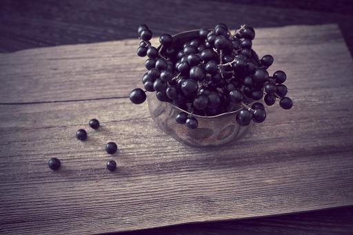 Privet - Free Stock Photo