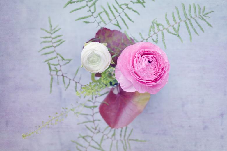 Free stock image of Flowers created by Pixabay