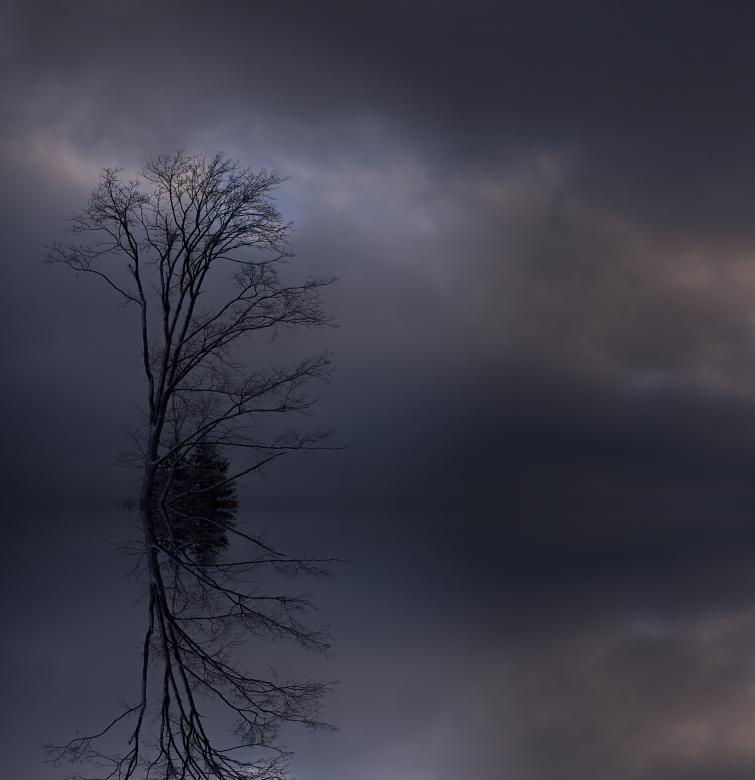 Free stock image of Lonely Tree created by Pixabay