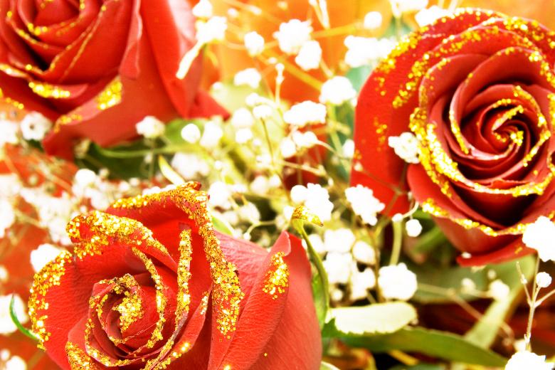 Free stock image of Red Roses created by 2happy