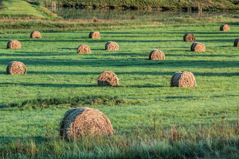 Free stock image of Bales created by Pixabay