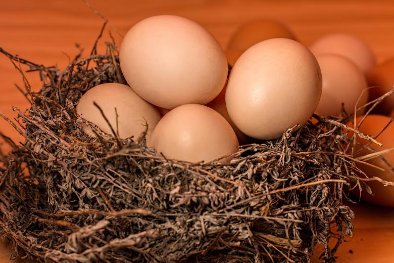 Free stock image of Eggs created by Pixabay