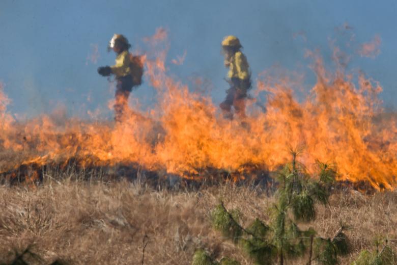 Free stock image of Firefighters created by Pixabay